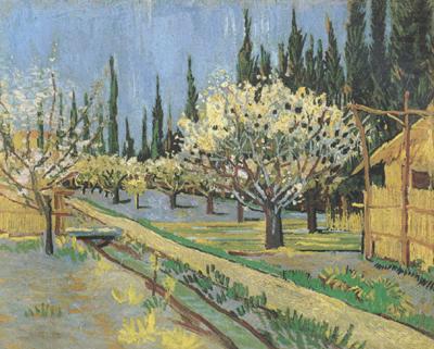 Vincent Van Gogh Orchard in Blossom,Bordered by Cypresses (nn04) china oil painting image